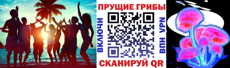 Галлюциногенные грибы GOLDEN TEACHER mega ссылки Орёл